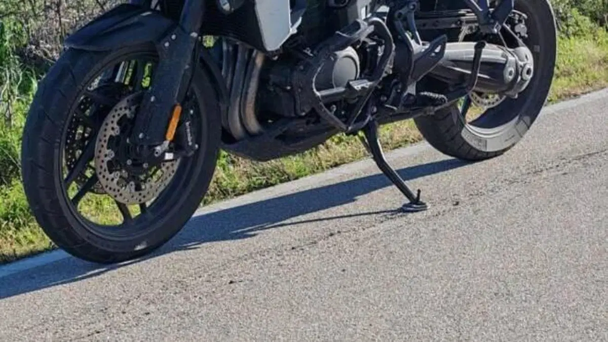 Triumph Tiger 1200 Alpine Edition (2020)  (3)