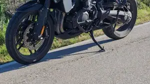 Triumph Tiger 1200 Alpine Edition (2020)  (3)