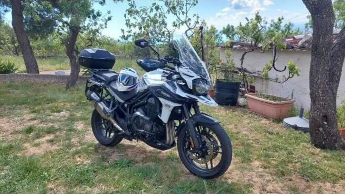Triumph Tiger 1200 Alpine Edition (2020)  (5)