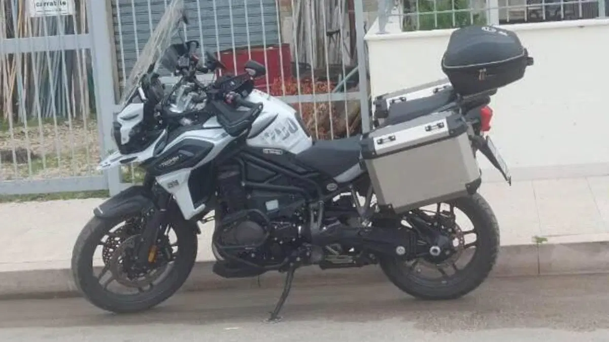 Triumph Tiger 1200 Alpine Edition (2020)  (6)