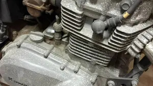 Kawasaki   (10)