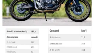 Voge Valico 525DSX (2023 - 26)  (4)