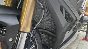 Bmw S 1000 R (2025 - 26)  (11)