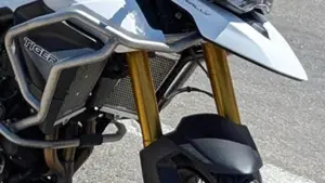 Triumph Tiger 900 Rally (2020 - 23)  (2)