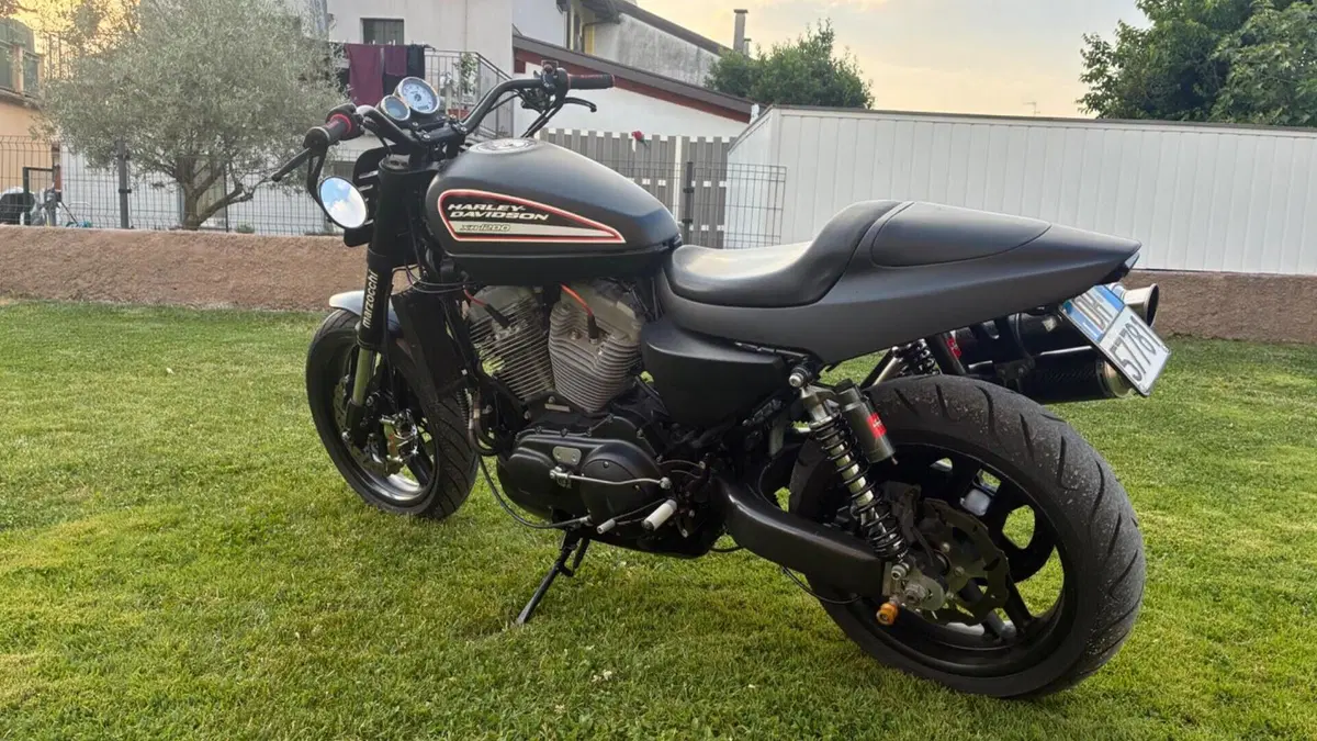 Harley-Davidson 1200 XR (2009 - 12)  (4)