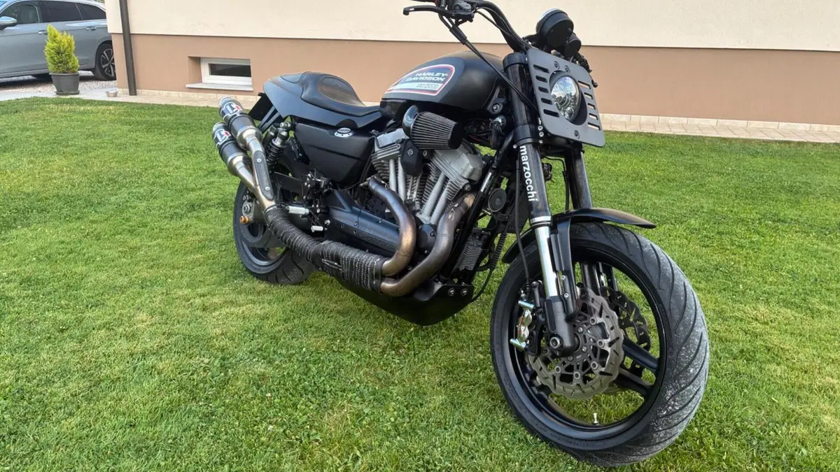 Harley-Davidson 1200 XR (2009 - 12)  (5)
