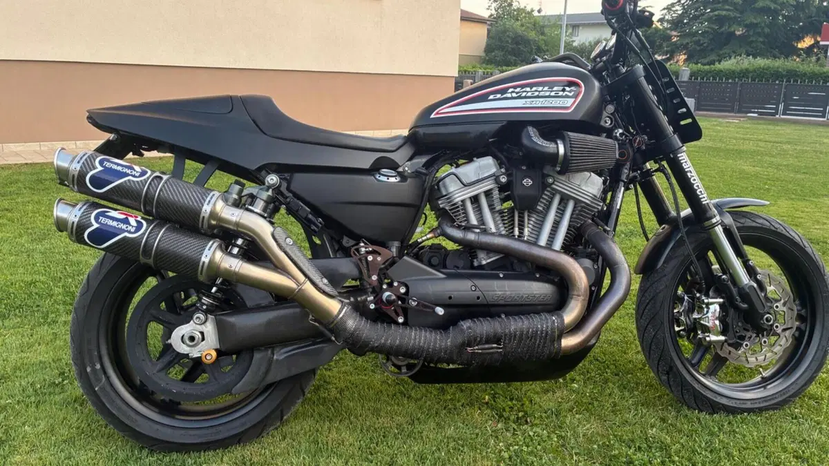 Harley-Davidson 1200 XR (2009 - 12)  (6)