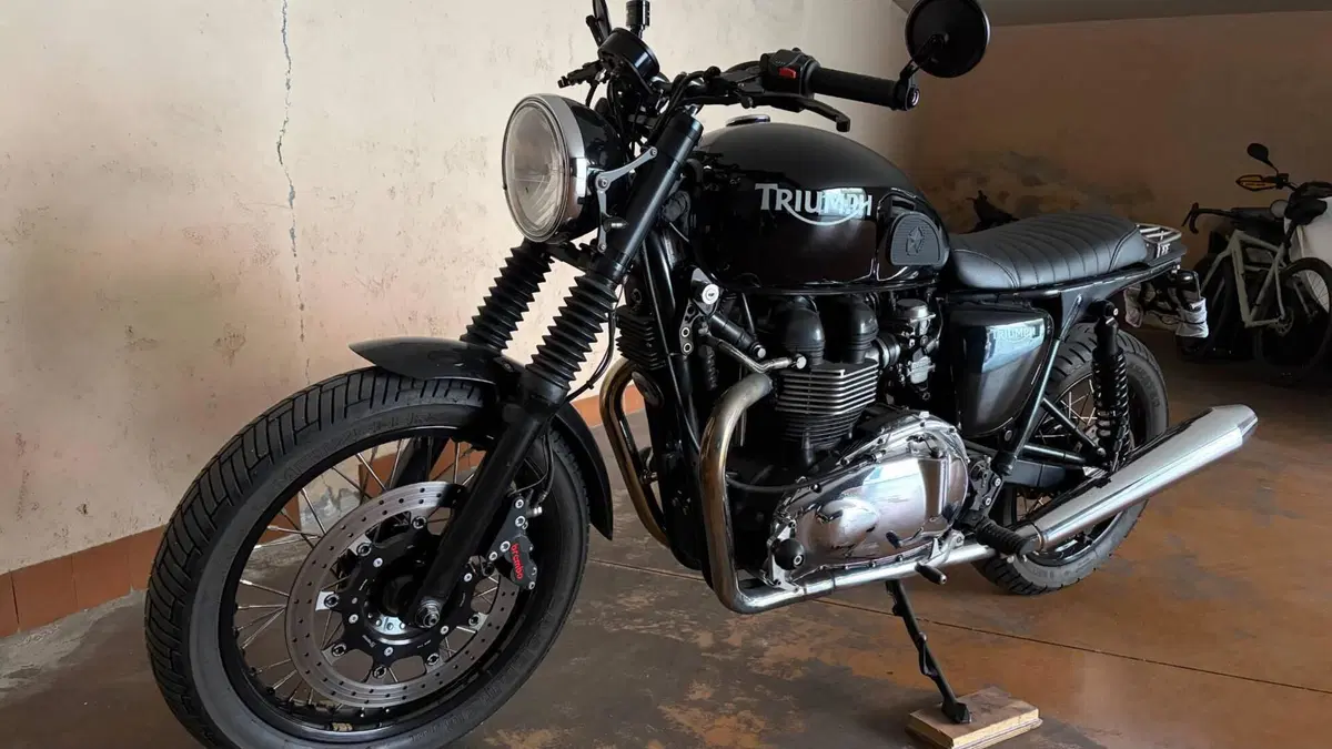 Triumph Thruxton 900 (2004 - 15)  (2)