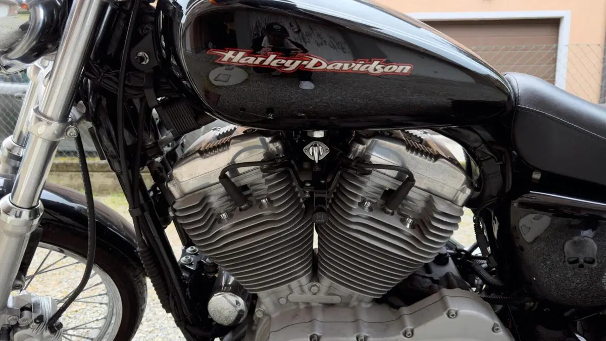 Harley-Davidson 883 Custom (2006 - 07) - XL 883C  (3)