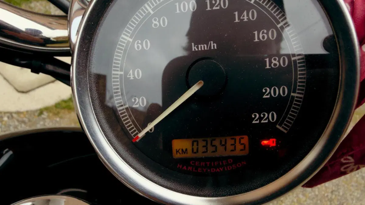 Harley-Davidson 883 Custom (2006 - 07) - XL 883C  (6)