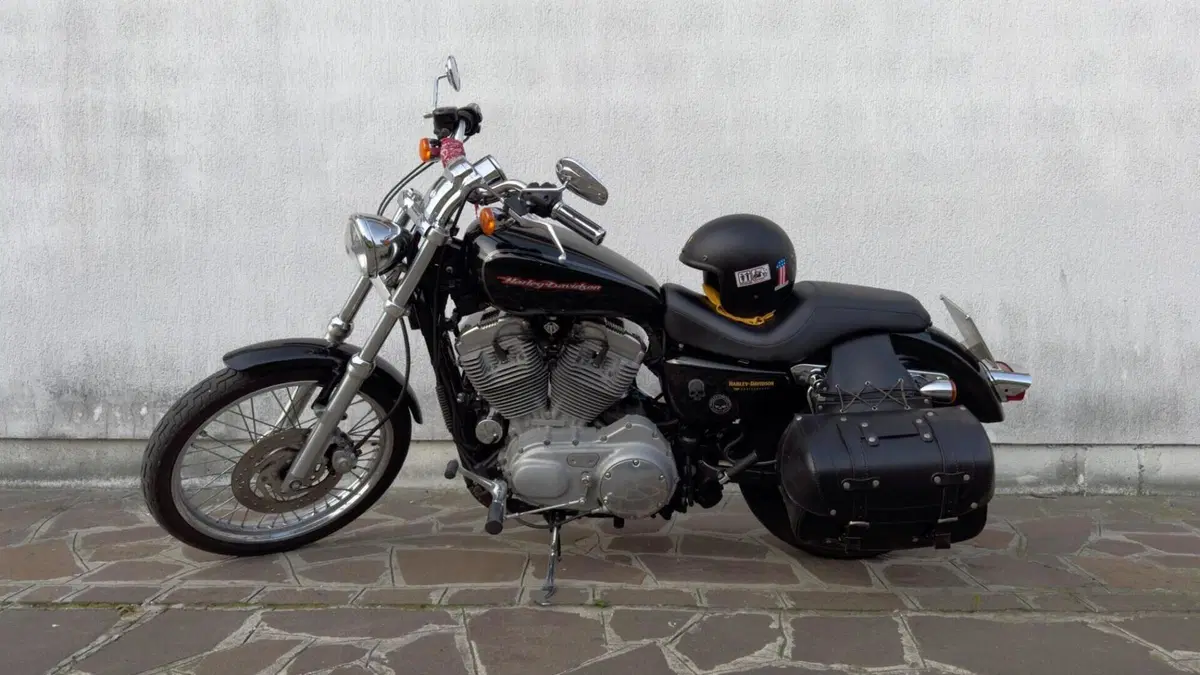 Harley-Davidson 883 Custom (2006 - 07) - XL 883C 