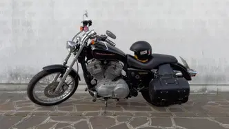 Harley-Davidson 883 Custom (2006 - 07) - XL 883C