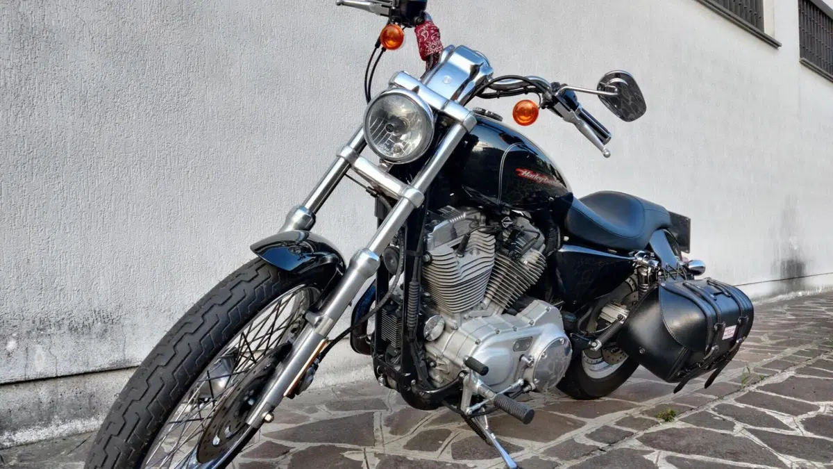 Harley-Davidson 883 Custom (2006 - 07) - XL 883C  (4)