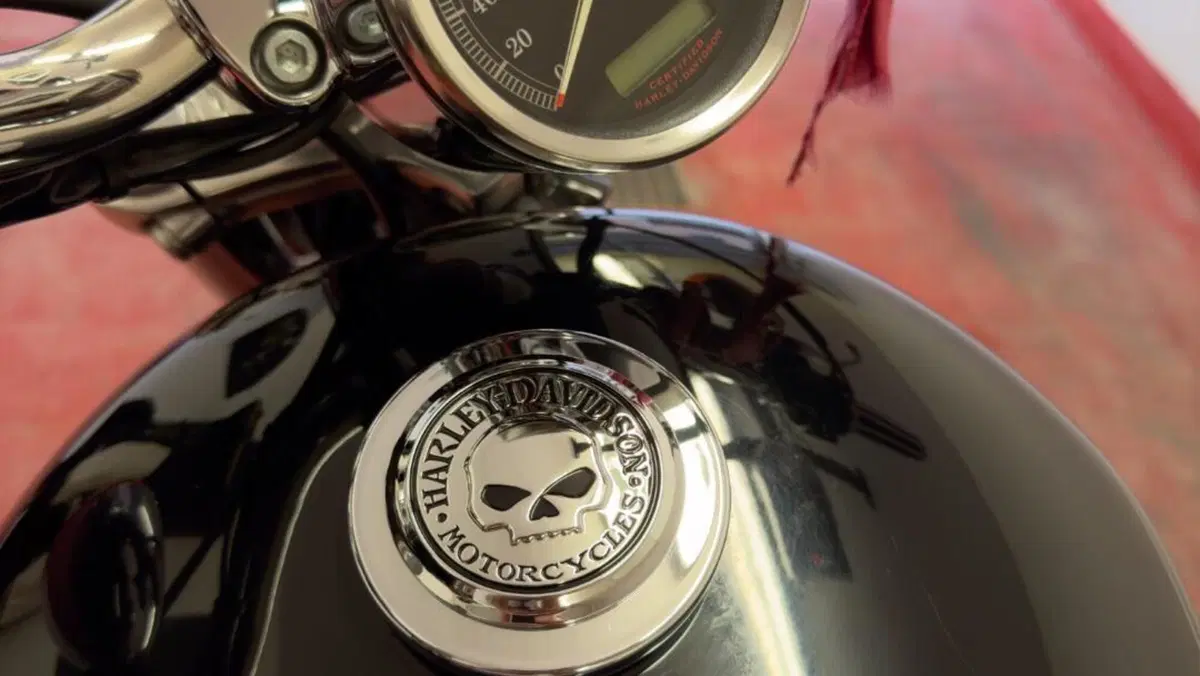 Harley-Davidson 883 Custom (2006 - 07) - XL 883C  (5)