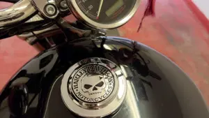 Harley-Davidson 883 Custom (2006 - 07) - XL 883C  (5)