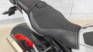 Yamaha MT-10 (2017 - 20)  (9)