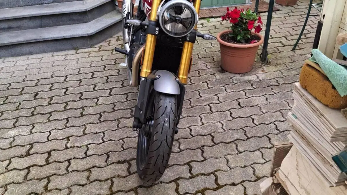 Triumph Speed 400 (2024 - 26)  (2)