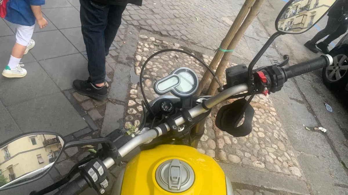 Ducati Scrambler 1100 (2018 - 20)  (3)