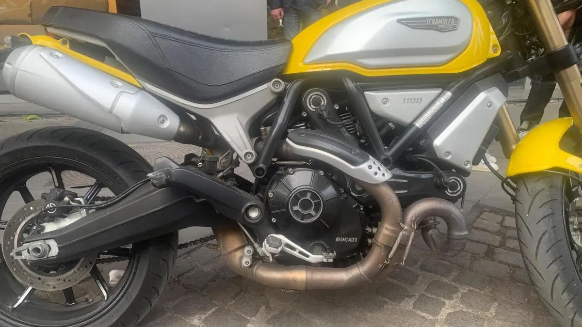 Ducati Scrambler 1100 (2018 - 20)  (4)