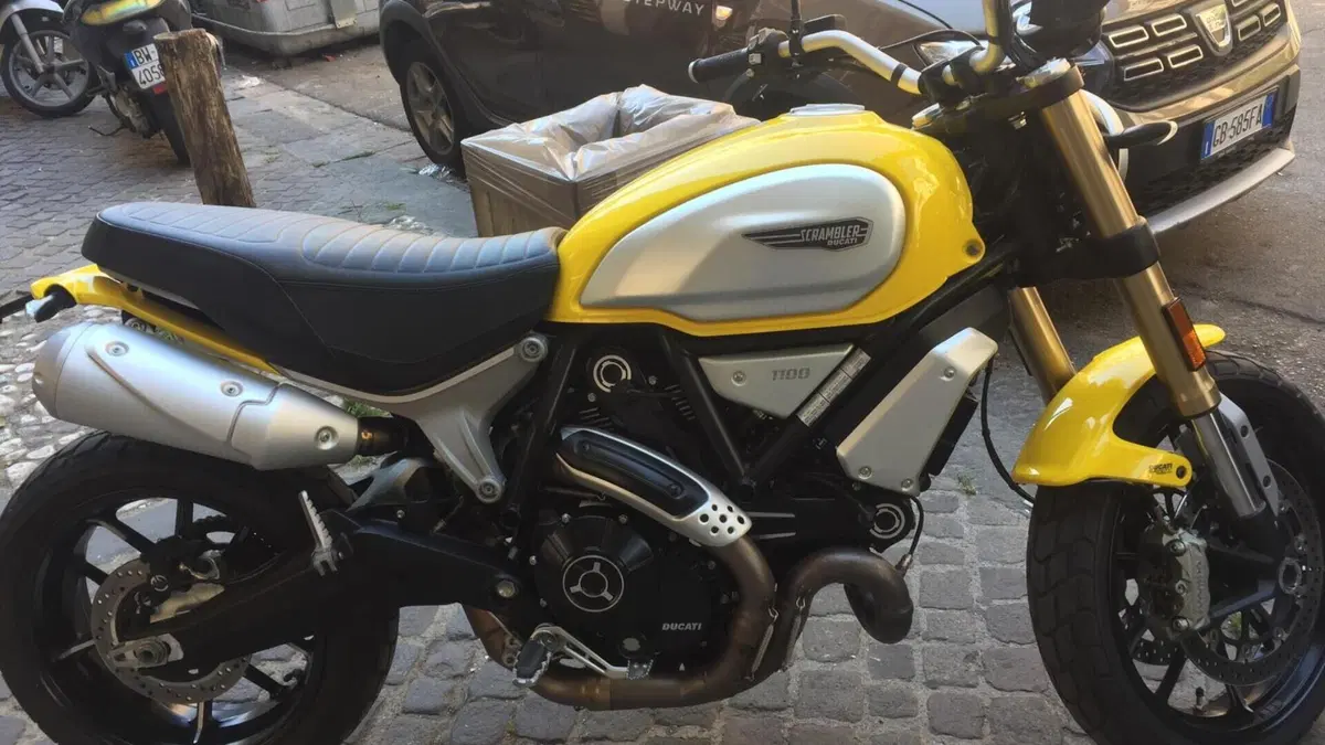 Ducati Scrambler 1100 (2018 - 20)  (6)