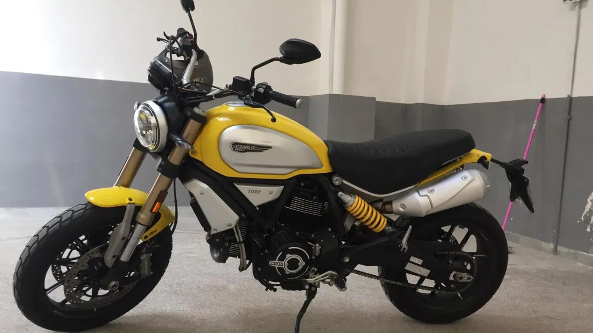 Ducati Scrambler 1100 (2018 - 20)  (9)