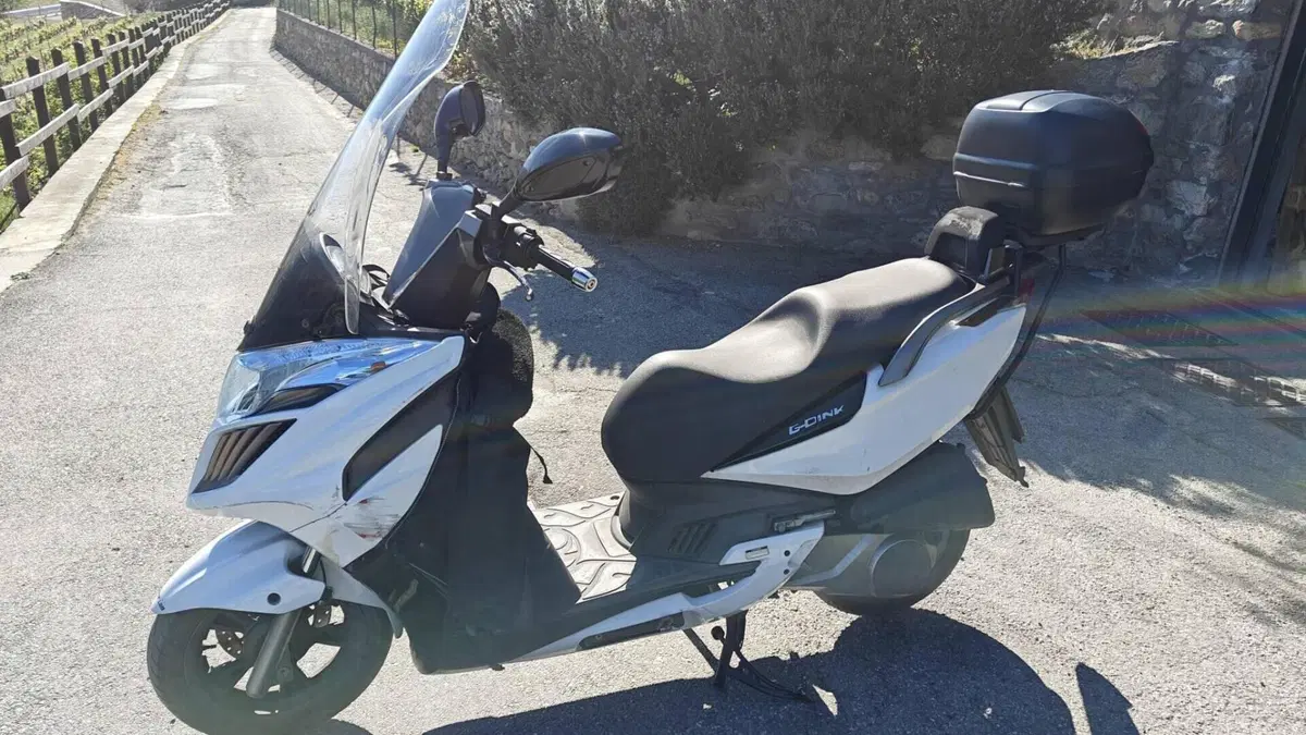 Kymco G-Dink 300i (2011 - 17)  (2)