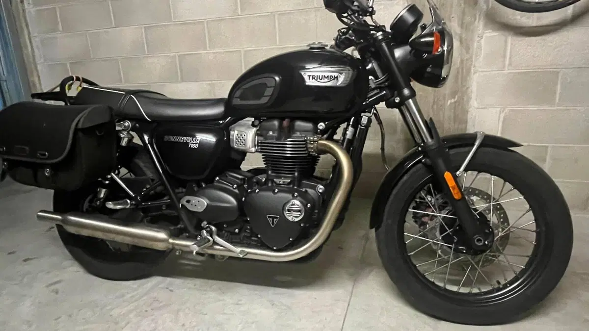 Triumph Bonneville T100 (2021 - 25) 