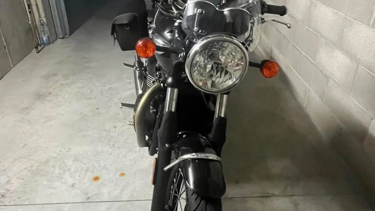 Triumph Bonneville T100 (2021 - 25)  (2)