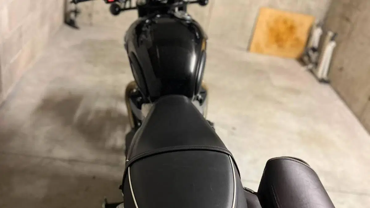 Triumph Bonneville T100 (2021 - 25)  (3)