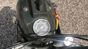 Bianchi   (6)