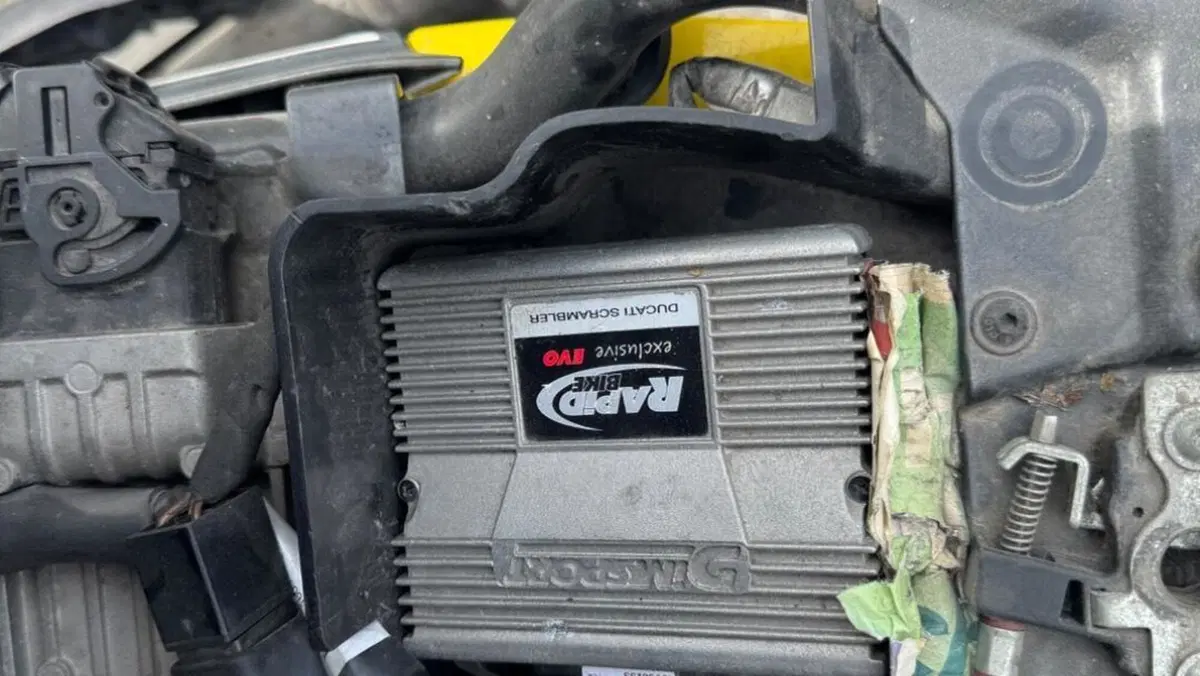 Ducati Scrambler 800 Icon (2015 - 16)  (2)