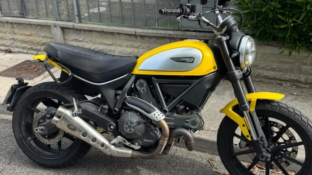 Ducati Scrambler 800 Icon (2015 - 16)  (8)