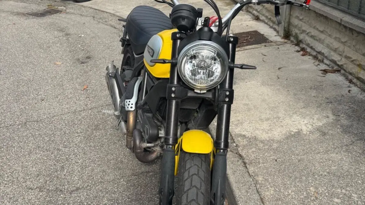 Ducati Scrambler 800 Icon (2015 - 16)  (9)