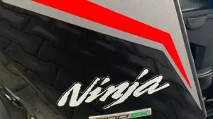 Kawasaki Ninja 1000 SX Tourer (2021 - 24)  (3)