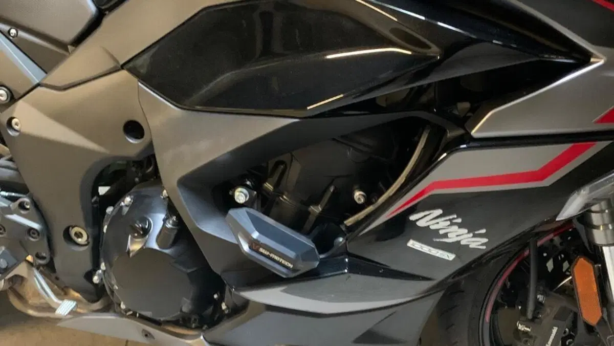 Kawasaki Ninja 1000 SX Tourer (2021 - 24)  (4)