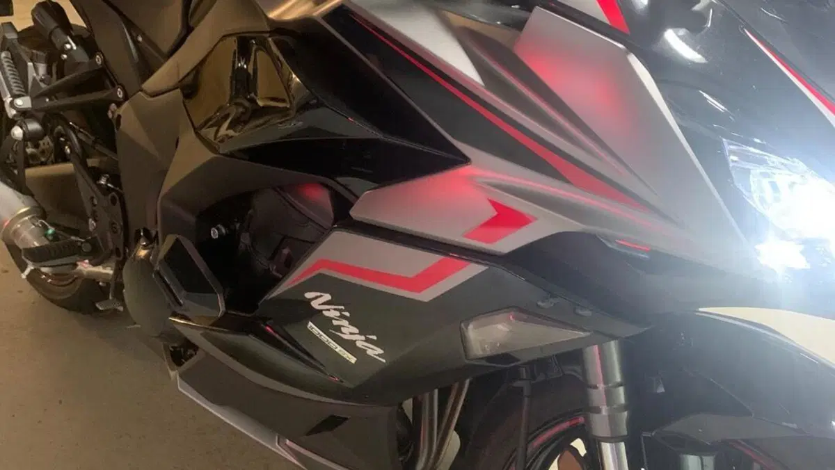 Kawasaki Ninja 1000 SX Tourer (2021 - 24)  (10)