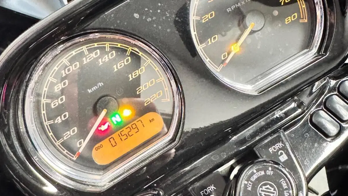 Harley-Davidson 114 Road Glide Special (2019 - 20) - FLTRXS  (5)