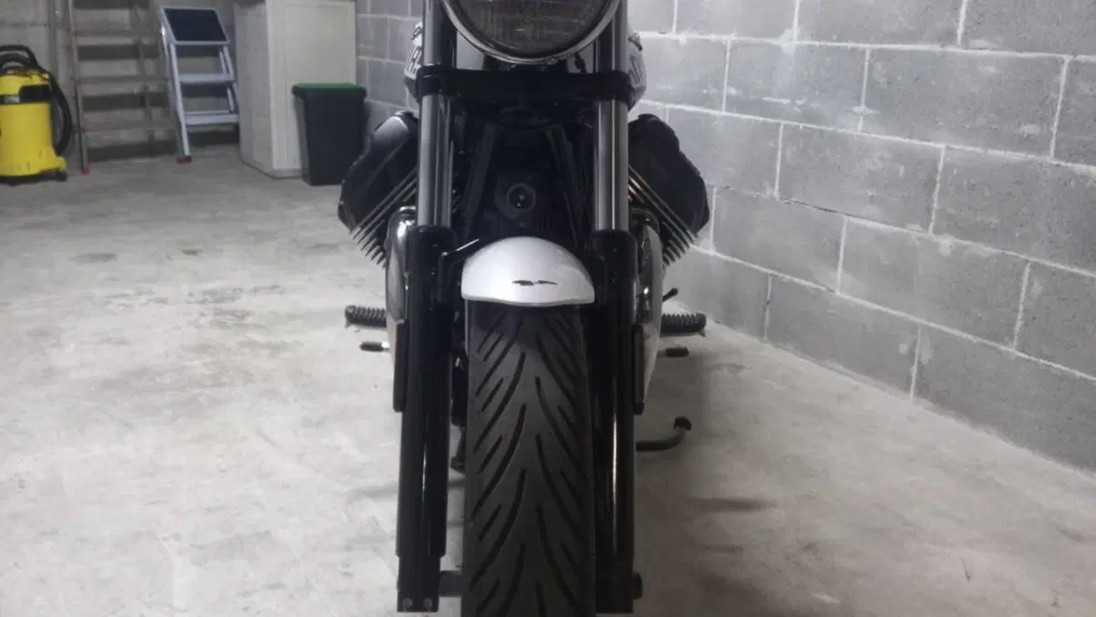 Moto Guzzi V7 Special (2021 - 24)  (2)