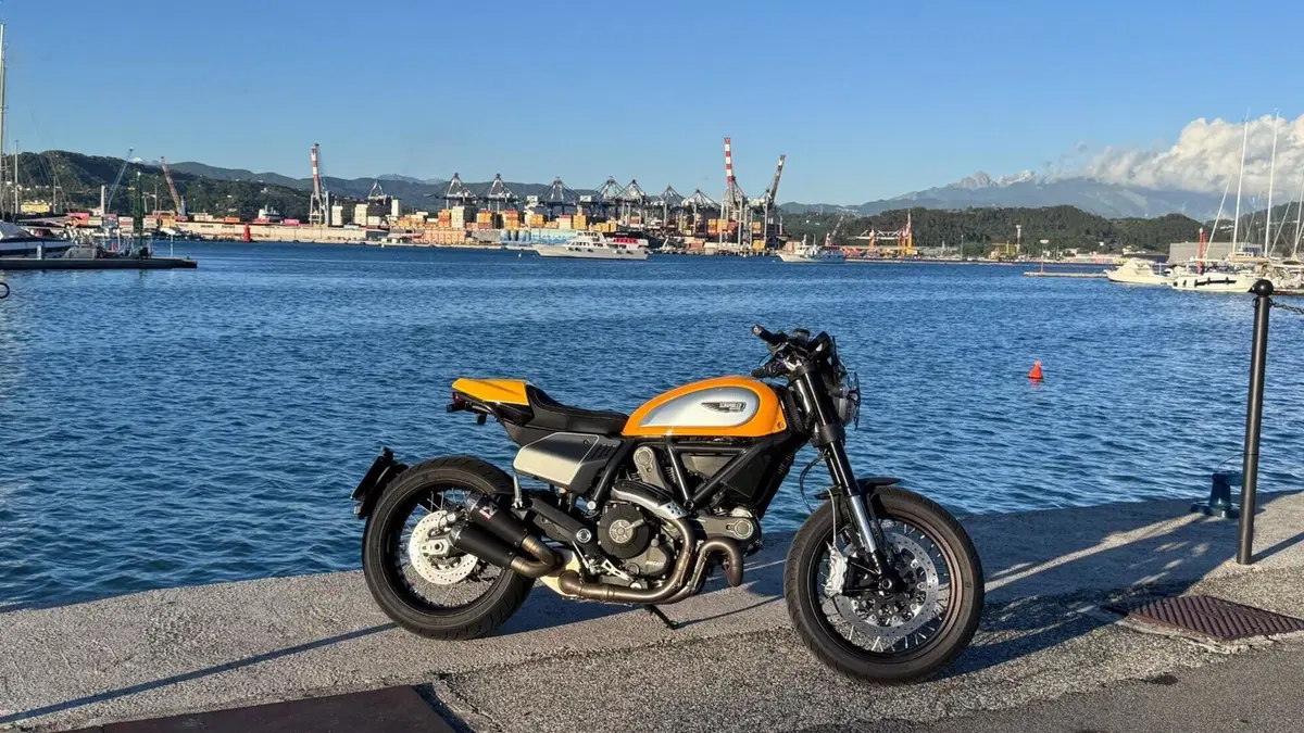 Ducati Scrambler 800 Classic (2015 - 16)  (7)
