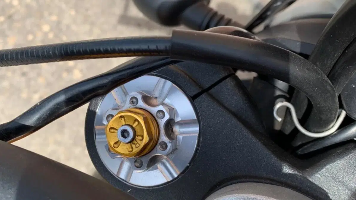 Ducati Scrambler 800 Classic (2015 - 16)  (16)