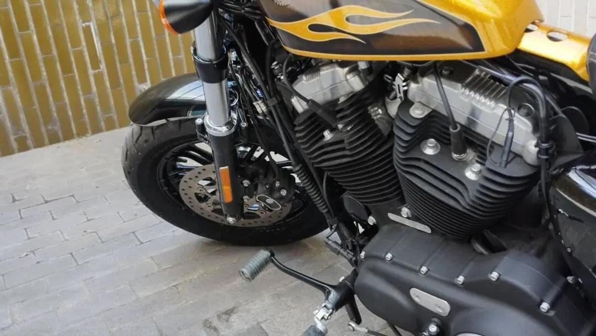 Harley-Davidson 1200 Forty-Eight (2016 - 20)  (5)