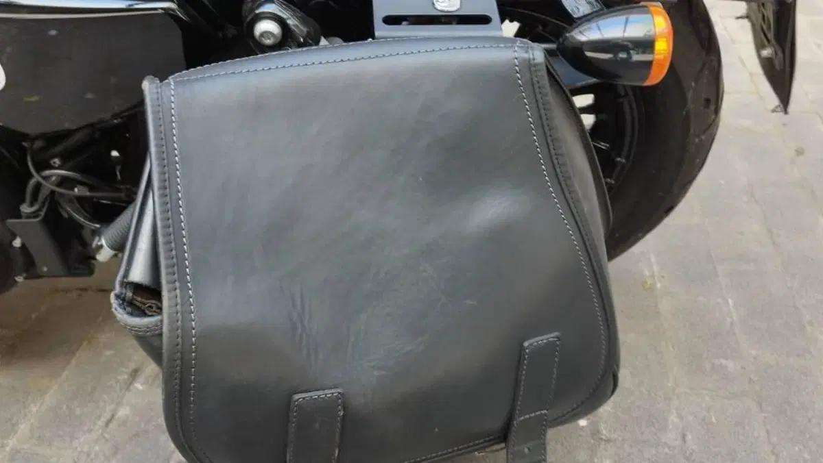 Harley-Davidson 1200 Forty-Eight (2016 - 20)  (10)