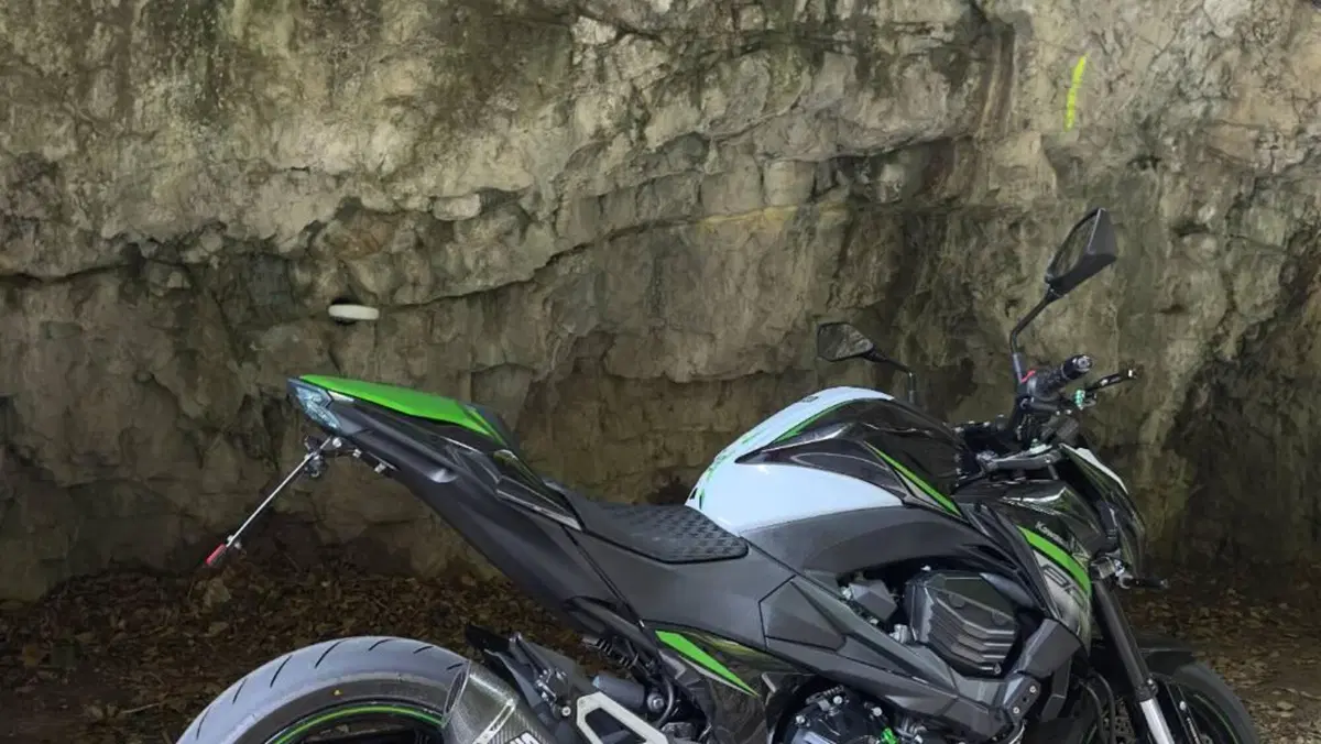 Kawasaki Z 800 ABS (2012 - 16)  (2)