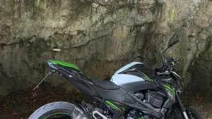 Kawasaki Z 800 ABS (2012 - 16)  (2)