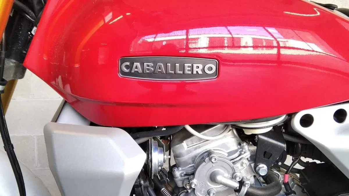 Fantic Motor Caballero 125 Scrambler (2024)  (4)