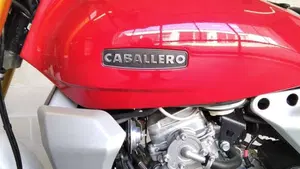 Fantic Motor Caballero 125 Scrambler (2024)  (4)