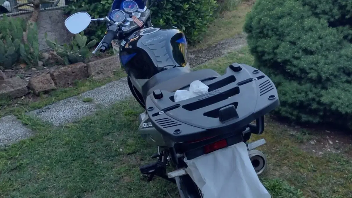 Suzuki GS 500 (2001 - 06)  (8)