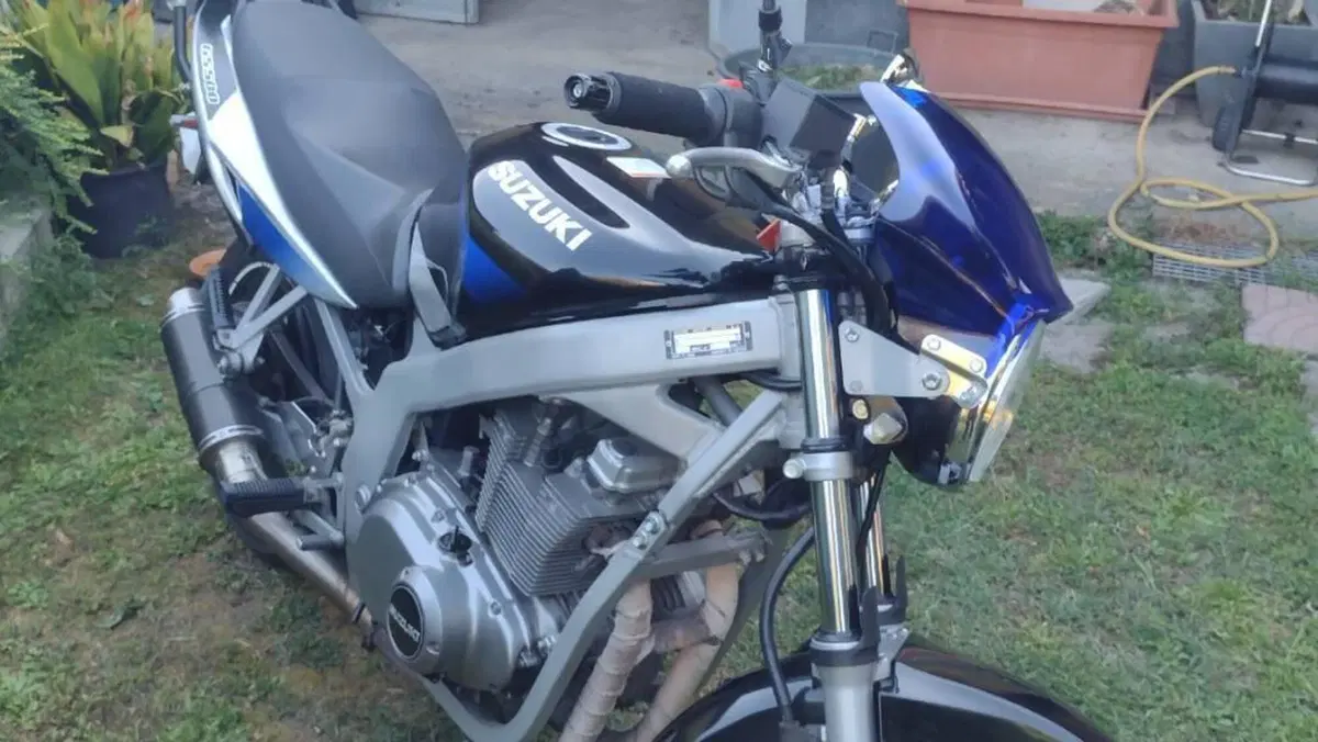 Suzuki GS 500 (2001 - 06)  (7)