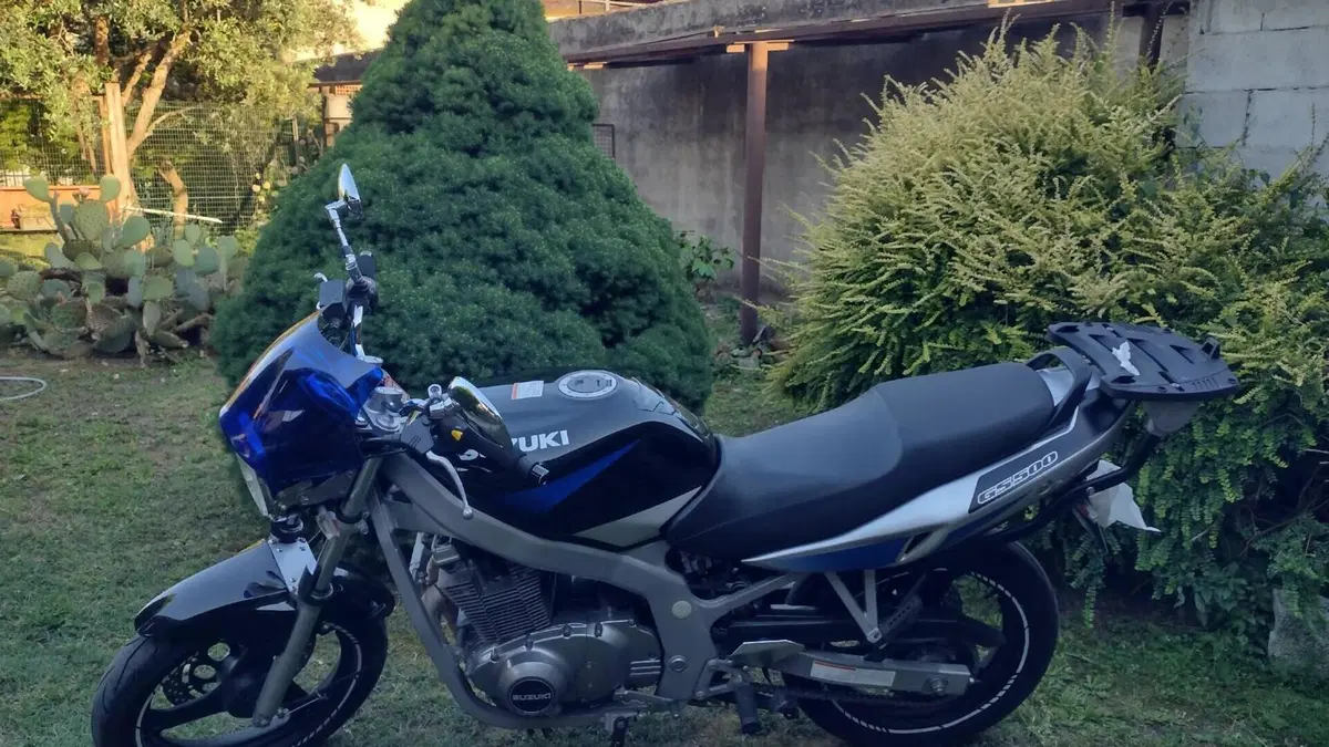 Suzuki GS 500 (2001 - 06)  (6)