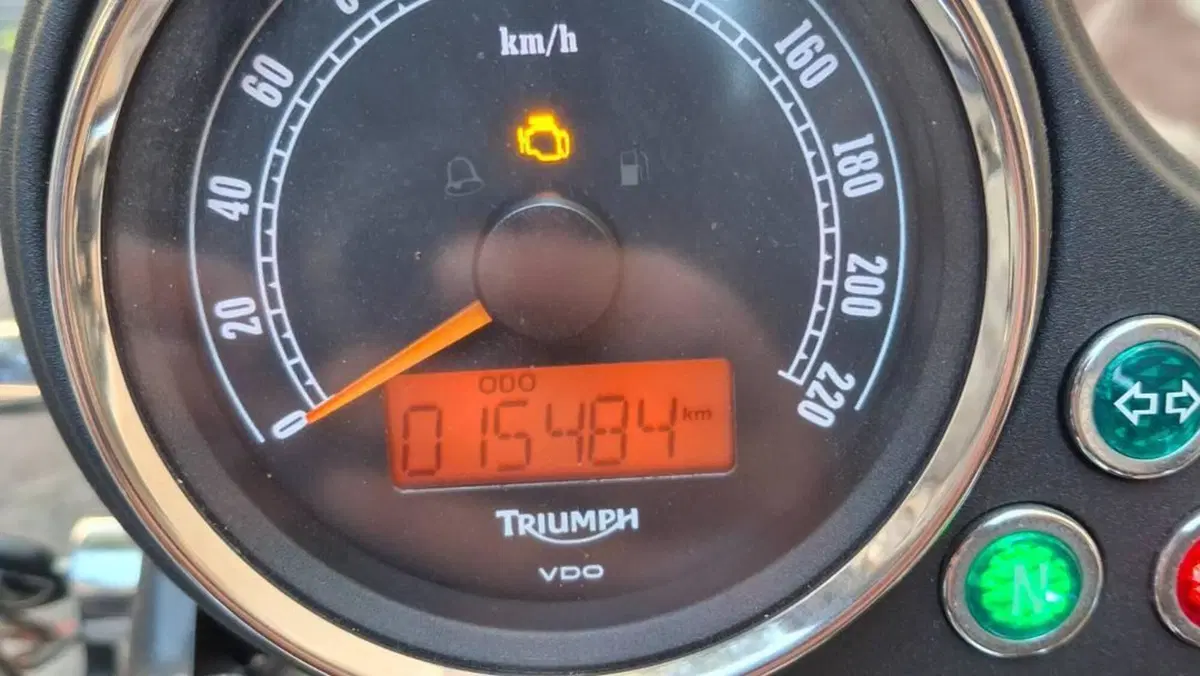 Triumph Bonneville T100 SE (2014)  (5)